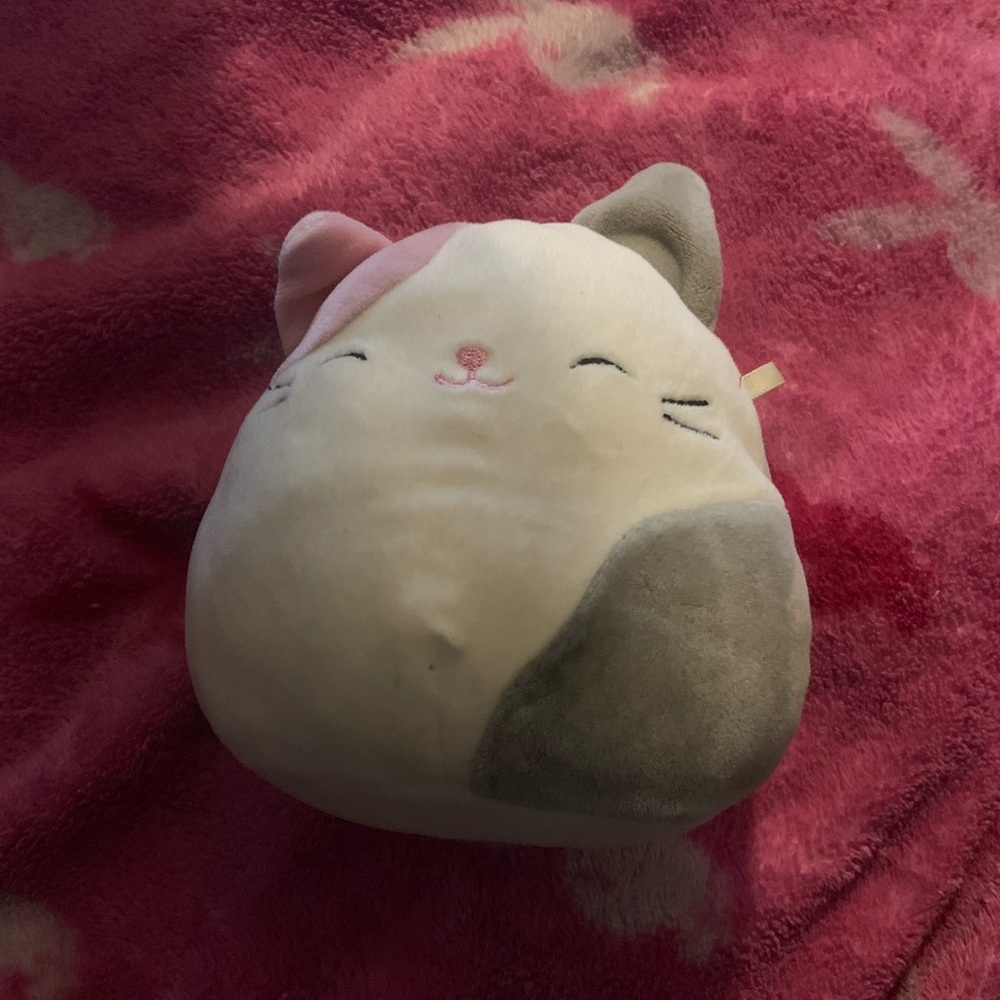 Squishmallows Pink and Gray Cat Plush